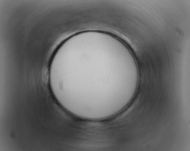 X0000116821509200912312005