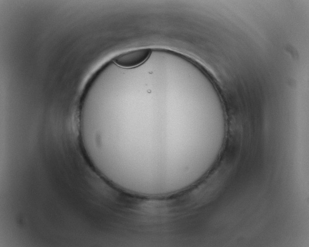 X0000116821510200912312005