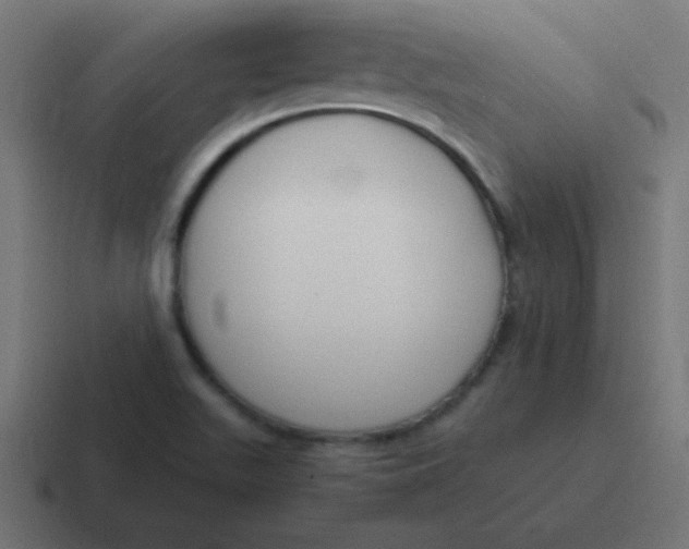 X0000116821511200912312005