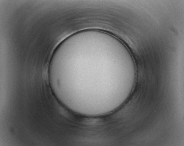 X0000116821513200912312005