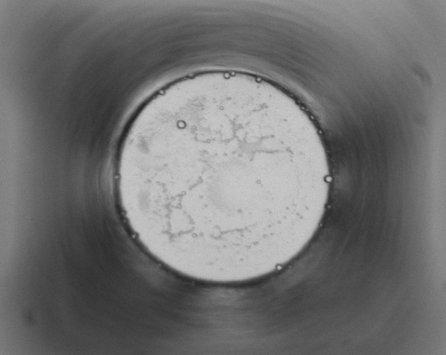 X0000116821514200912312005