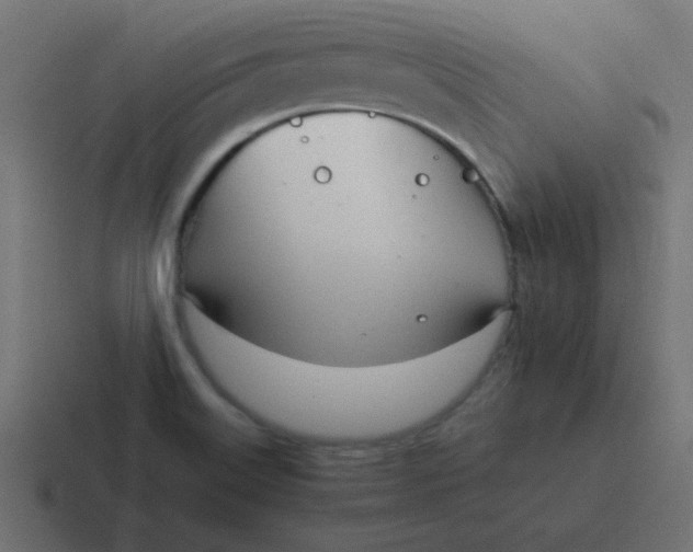 X0000116821515200912312005