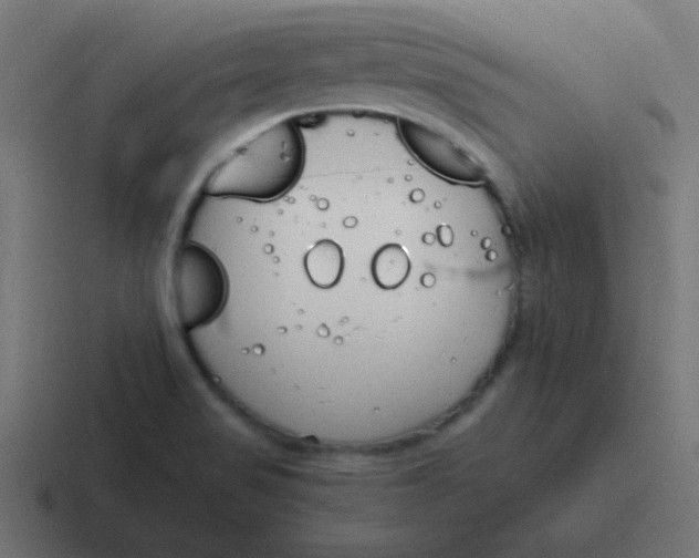 X0000116821517200912312005