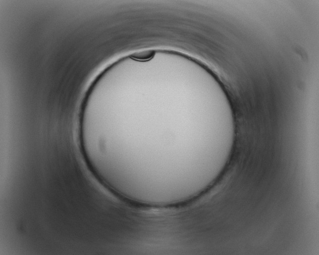 X0000116821518200912312006