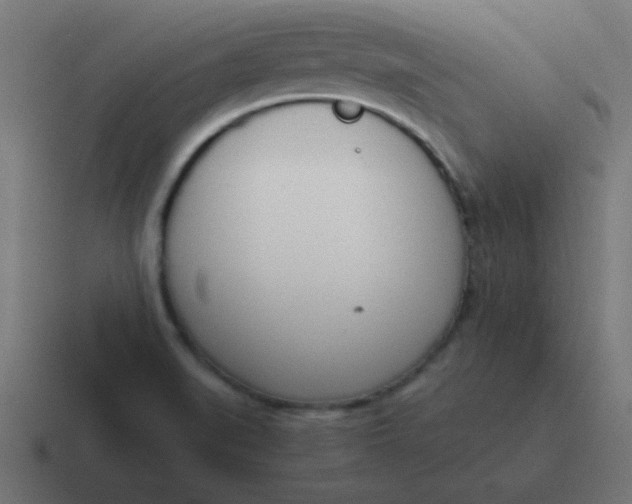 X0000116821519200912312006