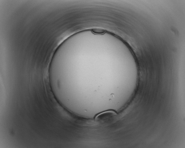 X0000116821521200912312006