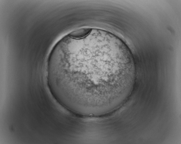 X0000116821522200912312006