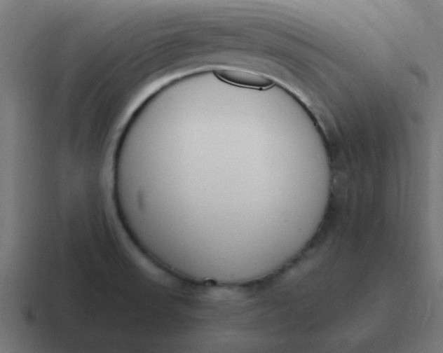 X0000116821523200912312006