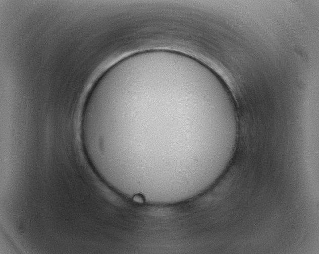 X0000116821525200912312006