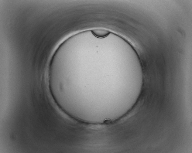 X0000116821526200912312006