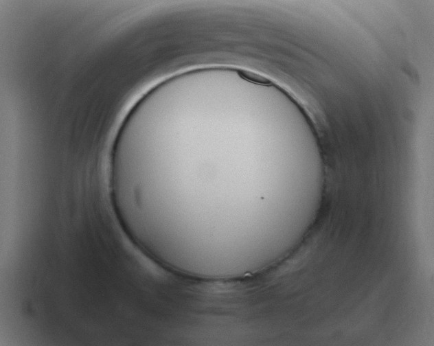 X0000116821527200912312006