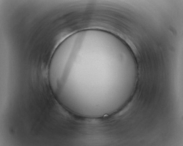 X0000116821529200912312006