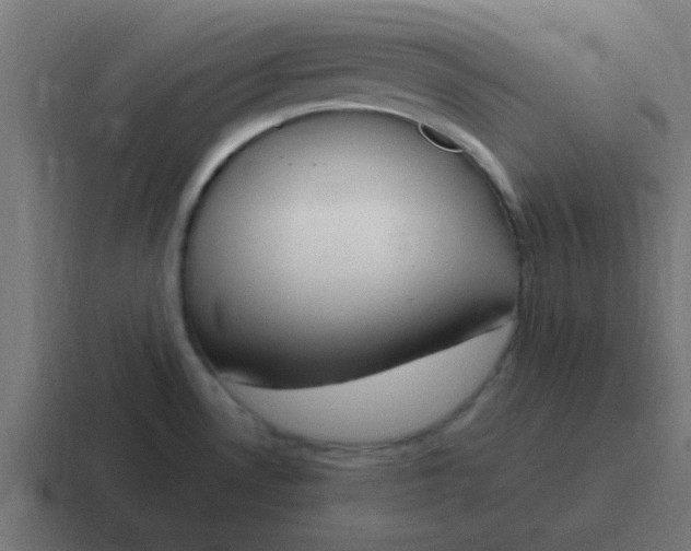 X0000116821530200912312006