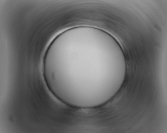 X0000116821531200912312006