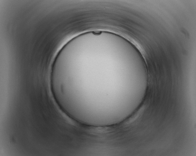 X0000116821533200912312006