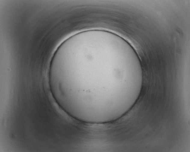 X0000116821534200912312006