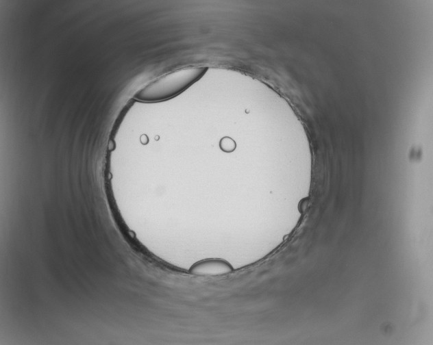 X0000116820003201001081426