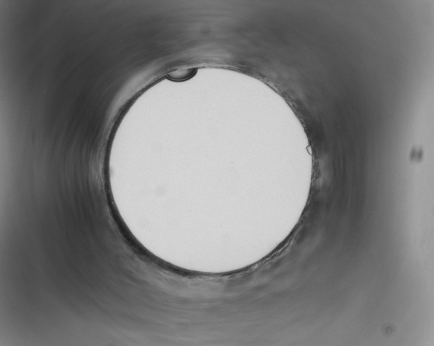 X0000116820004201001081426