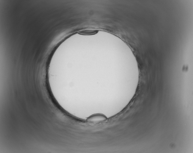 X0000116820005201001081426