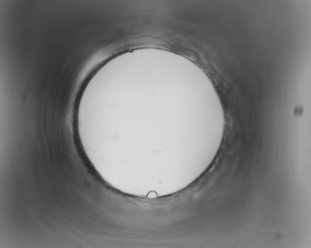 X0000116820006201001081426