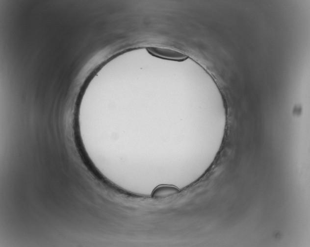 X0000116820007201001081426