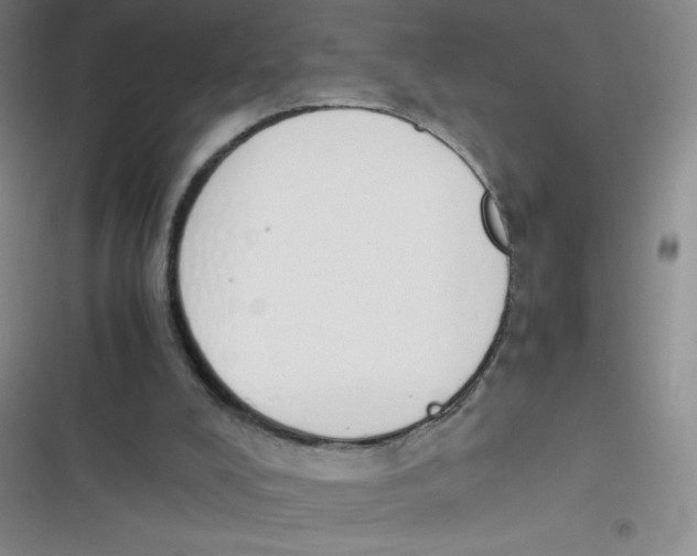 X0000116820008201001081426