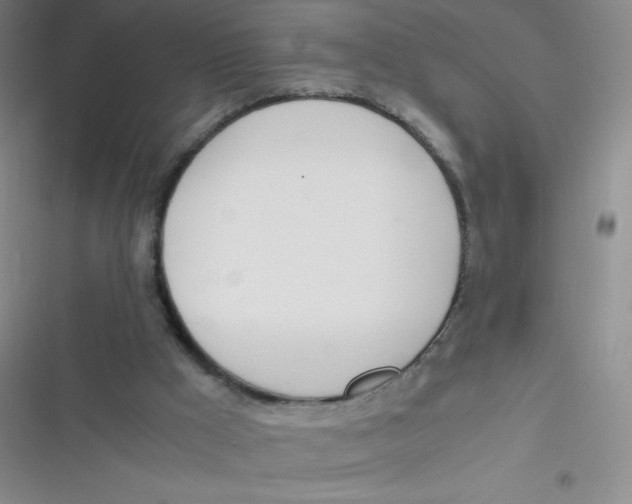 X0000116820009201001081426