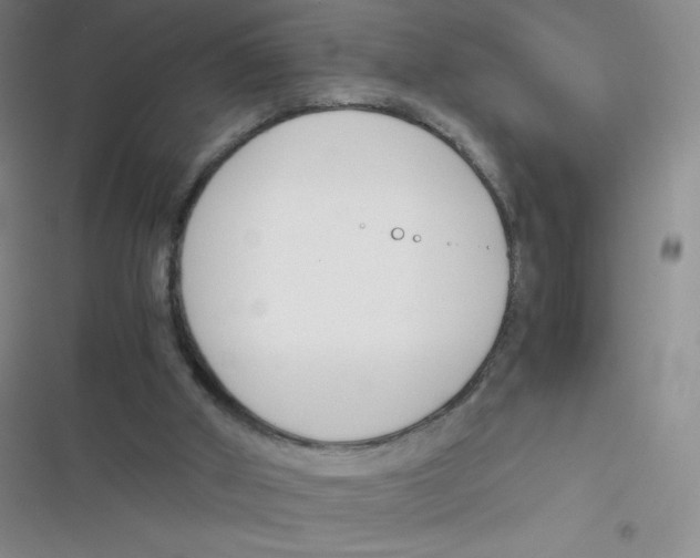 X0000116820010201001081426