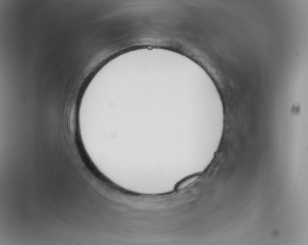 X0000116820011201001081426