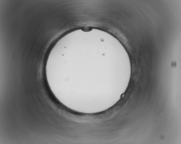 X0000116820012201001081426