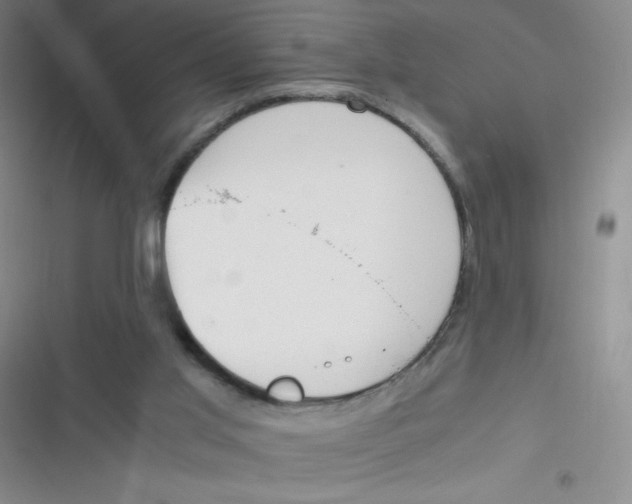 X0000116820013201001081426