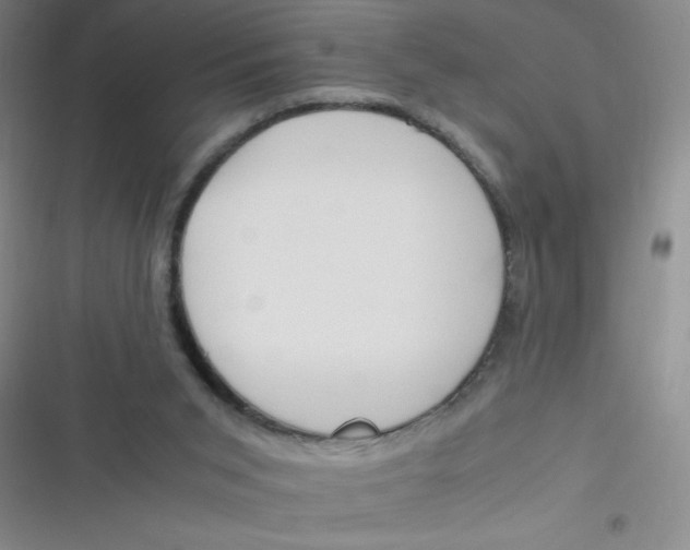 X0000116820015201001081426