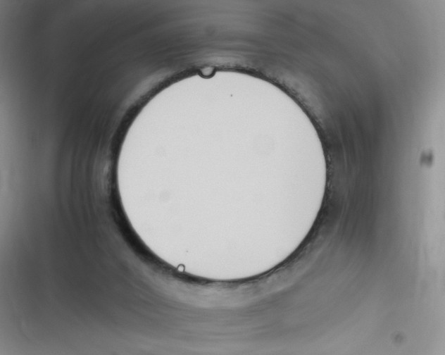 X0000116820016201001081426