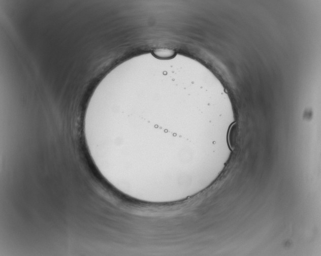 X0000116820017201001081426