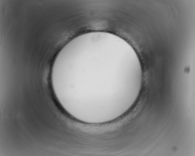 X0000116820018201001081426