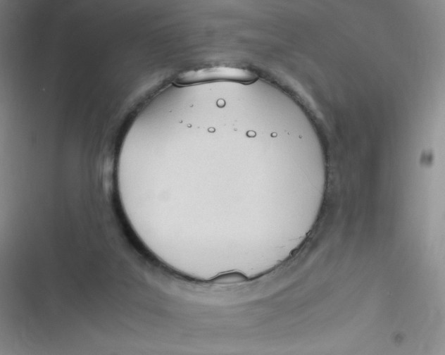 X0000116820019201001081426