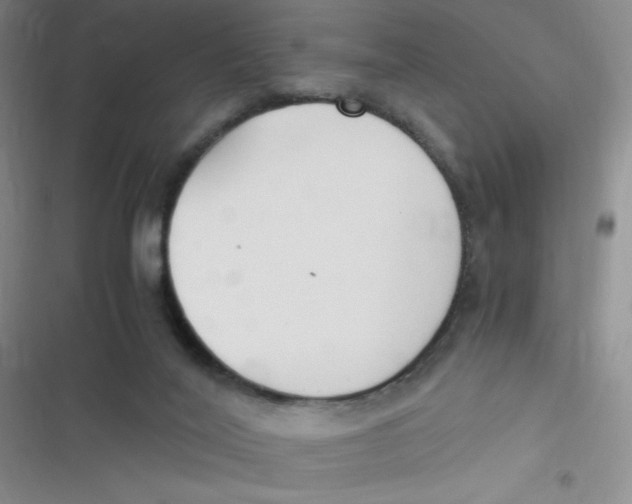 X0000116820020201001081426