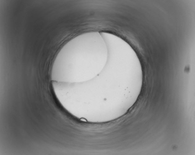 X0000116820021201001081426