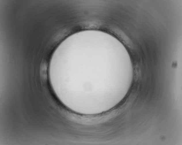 X0000116820022201001081426