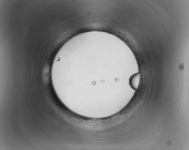 X0000116820024201001081426