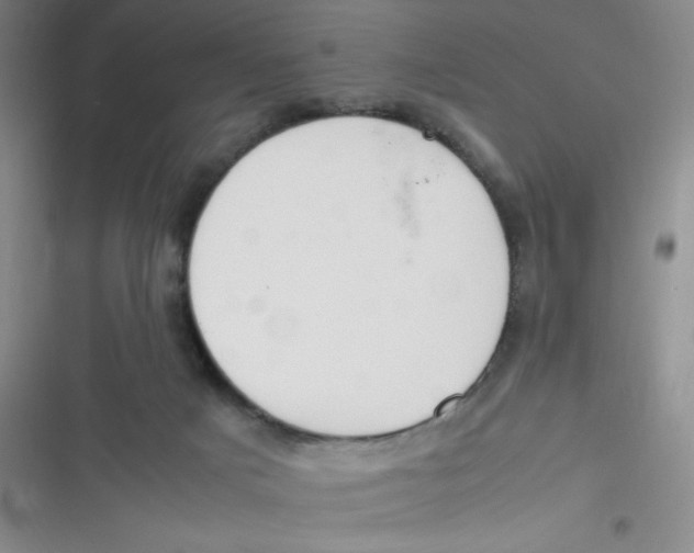 X0000116820025201001081426