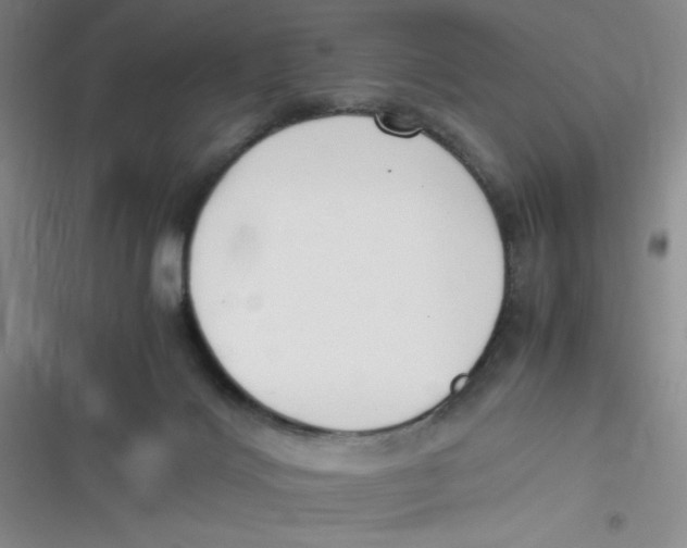 X0000116820028201001081426