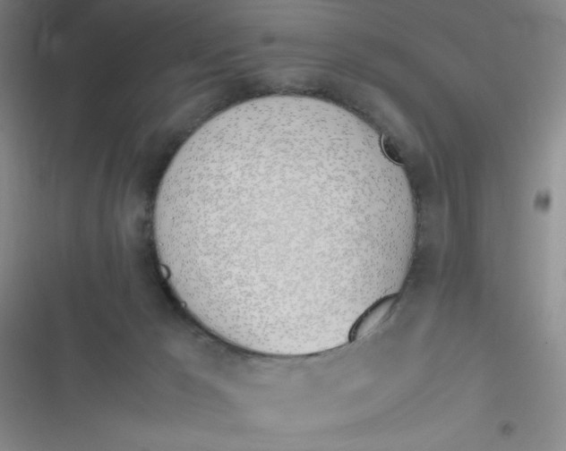 X0000116820029201001081426