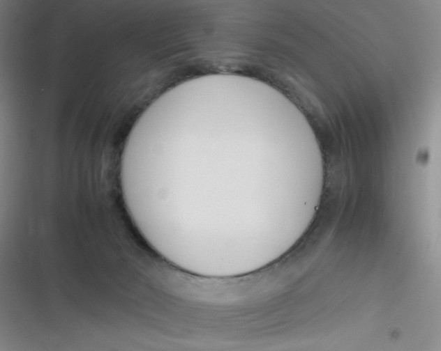 X0000116820030201001081426