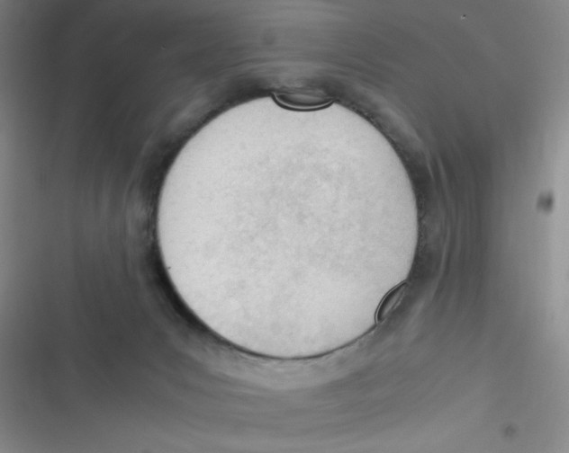 X0000116820031201001081426