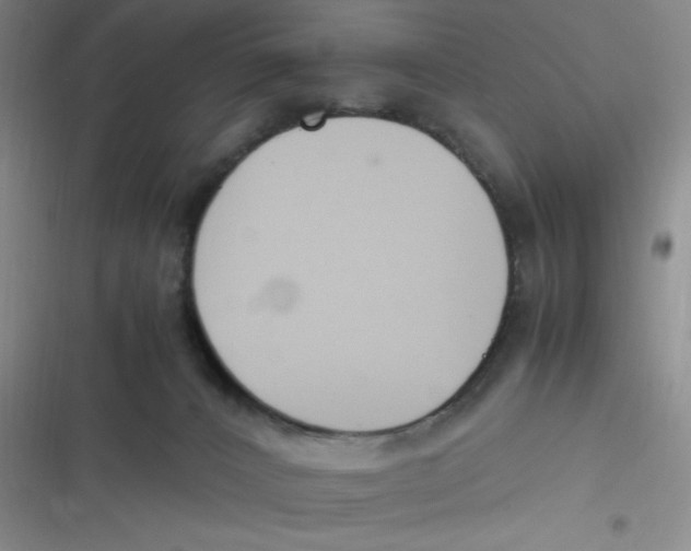 X0000116820032201001081426