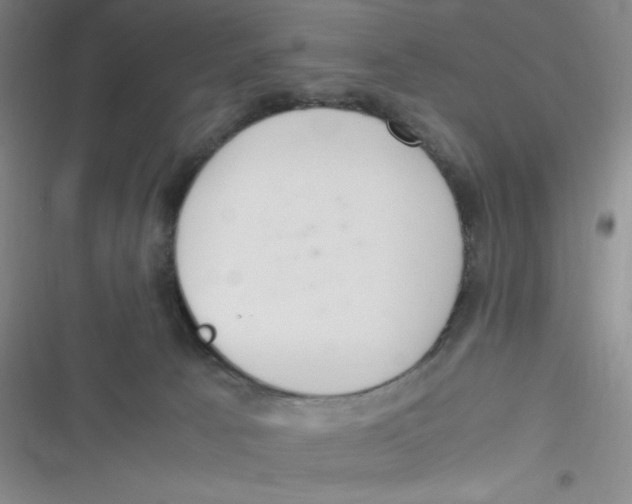 X0000116820033201001081426