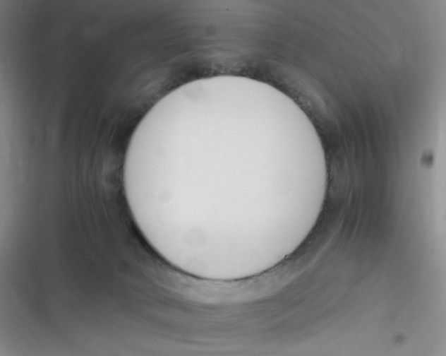 X0000116820034201001081426