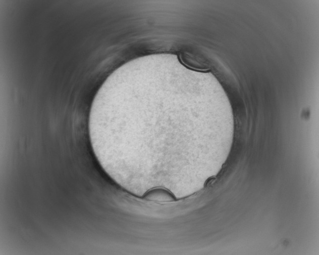 X0000116820035201001081426