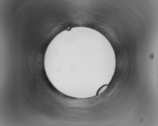 X0000116820036201001081426